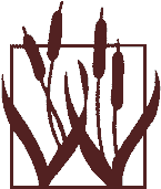 wiscorp logo